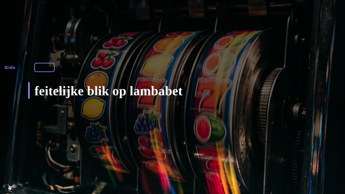 feitelijke blik op lambabet