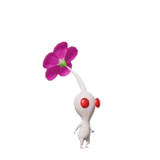 white8 removebg preview