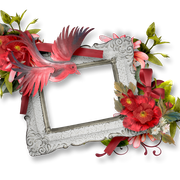cluster-frame-279