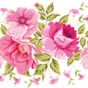 Colored Floral PNG Image Background