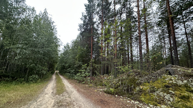 IMG 4975.jpg
