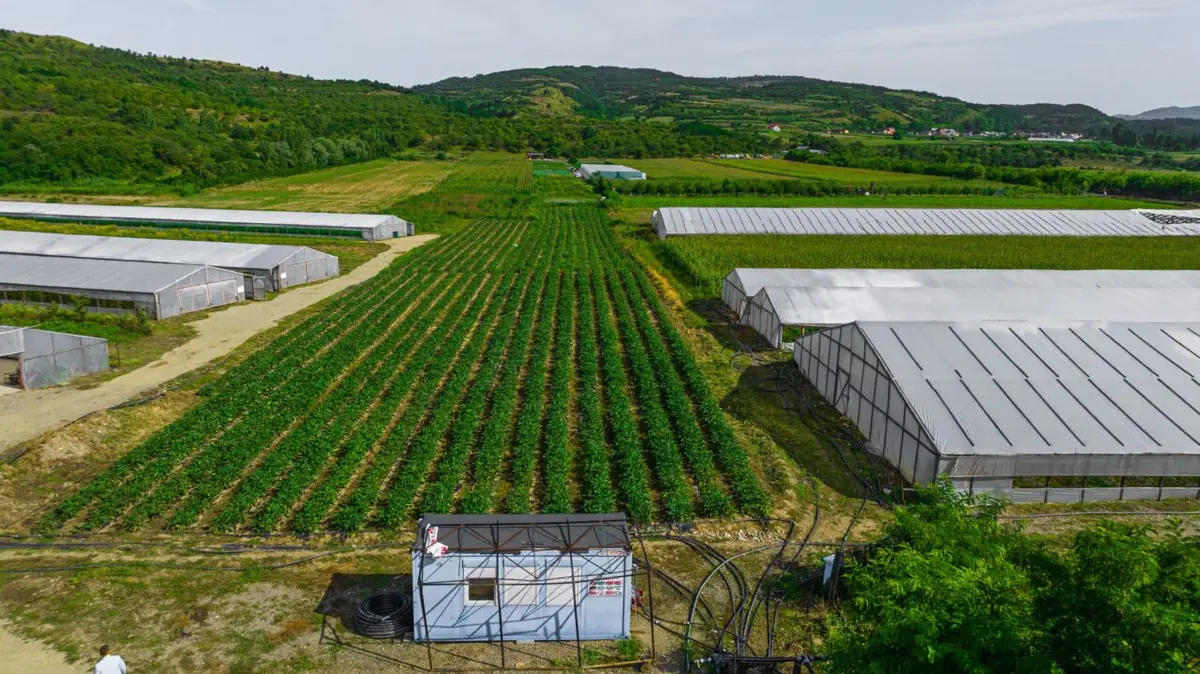 Fermierii români, sprijin de până la 50.000 de euro pentru modernizare