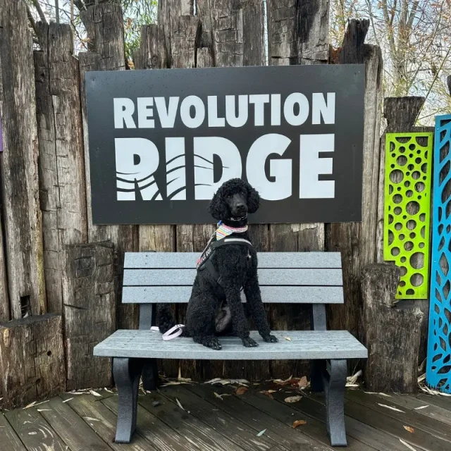 Dog training session at Meadow Ridge Pet Lodge in Rapid City