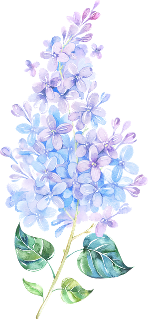 pngegg (59).png