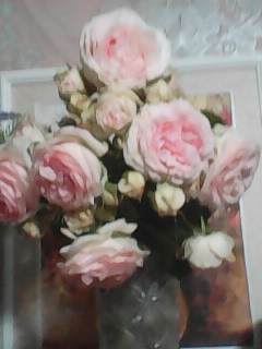 IMG0328B.jpg