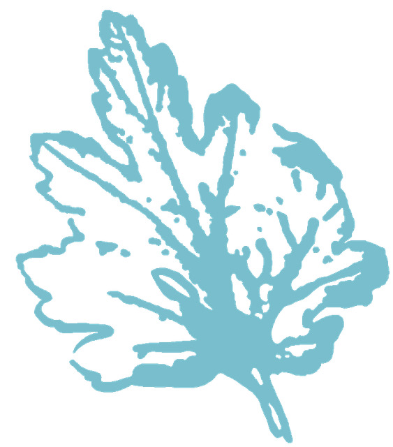 Leaf.png