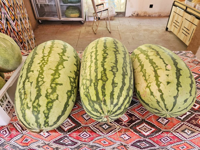 160