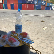 IMG-3356