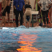 IMG-0095