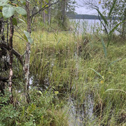IMG 4649