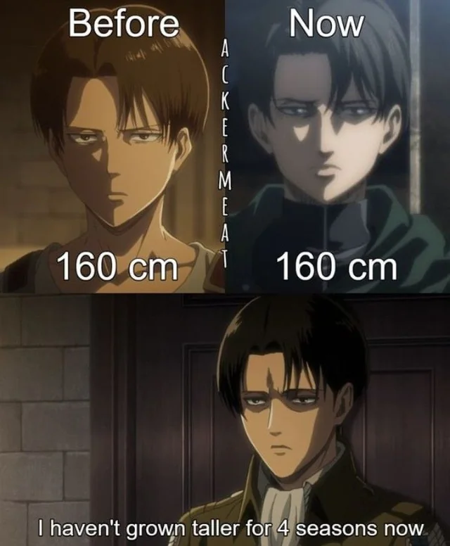 levi.webp