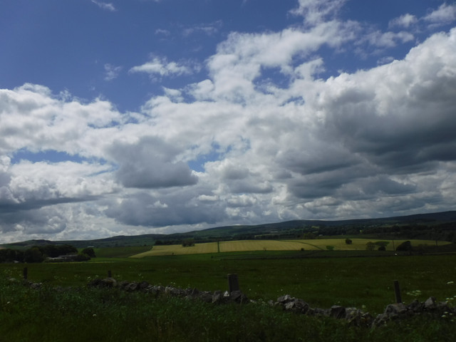 DSCF6063.jpg