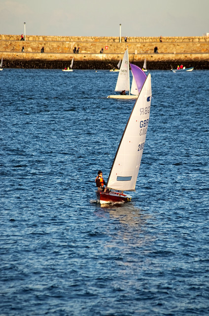 IMGP6917.jpg