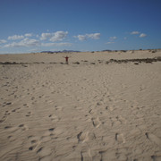 DSC01162