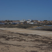 DSCF8319