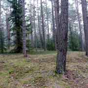 P1050423