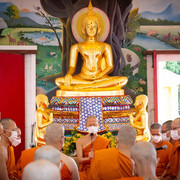 IMG-7292