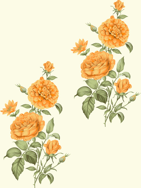 shutterstock 2277145551.jpg
