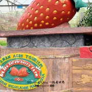 Big Red Strawberry Farm4