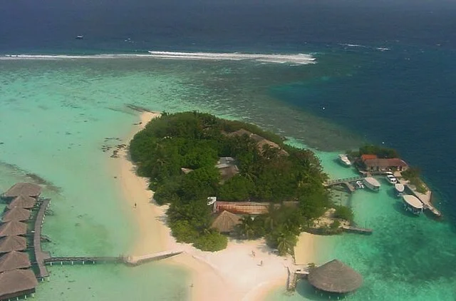 477 Maldives.webp