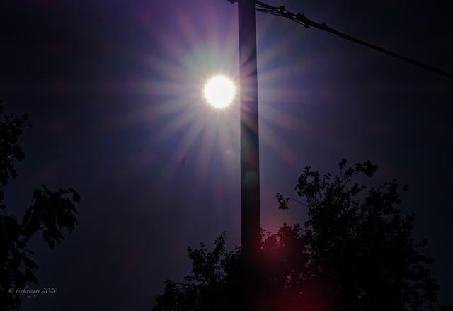 DSF6667.jpg