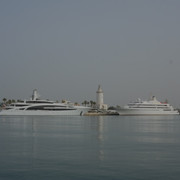 DSCF8903
