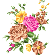 2fda59f216bca02d2a2f7e6e7f67266b