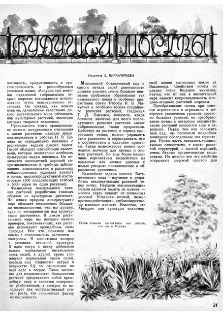 1-33.jpg
