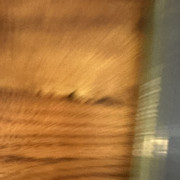 IMG 0632