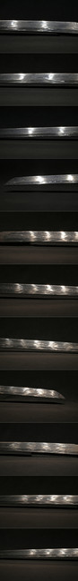 DSC4073