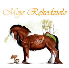 evmoje.png