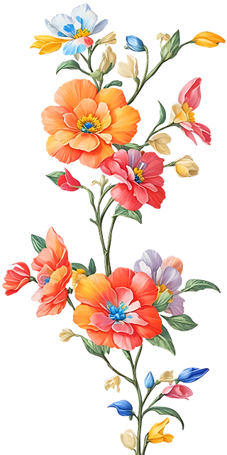 d911ba9e327cd19051de670ff873fbf5.png