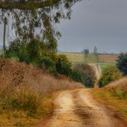 DSCN4880