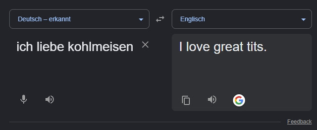 kohlmeisen.jpg