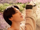 BTS-Stay-Gold.jpg