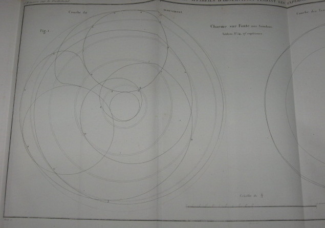 IMG 0359.jpg