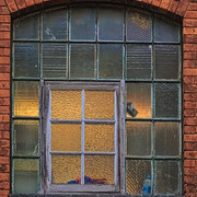 IMGP1927