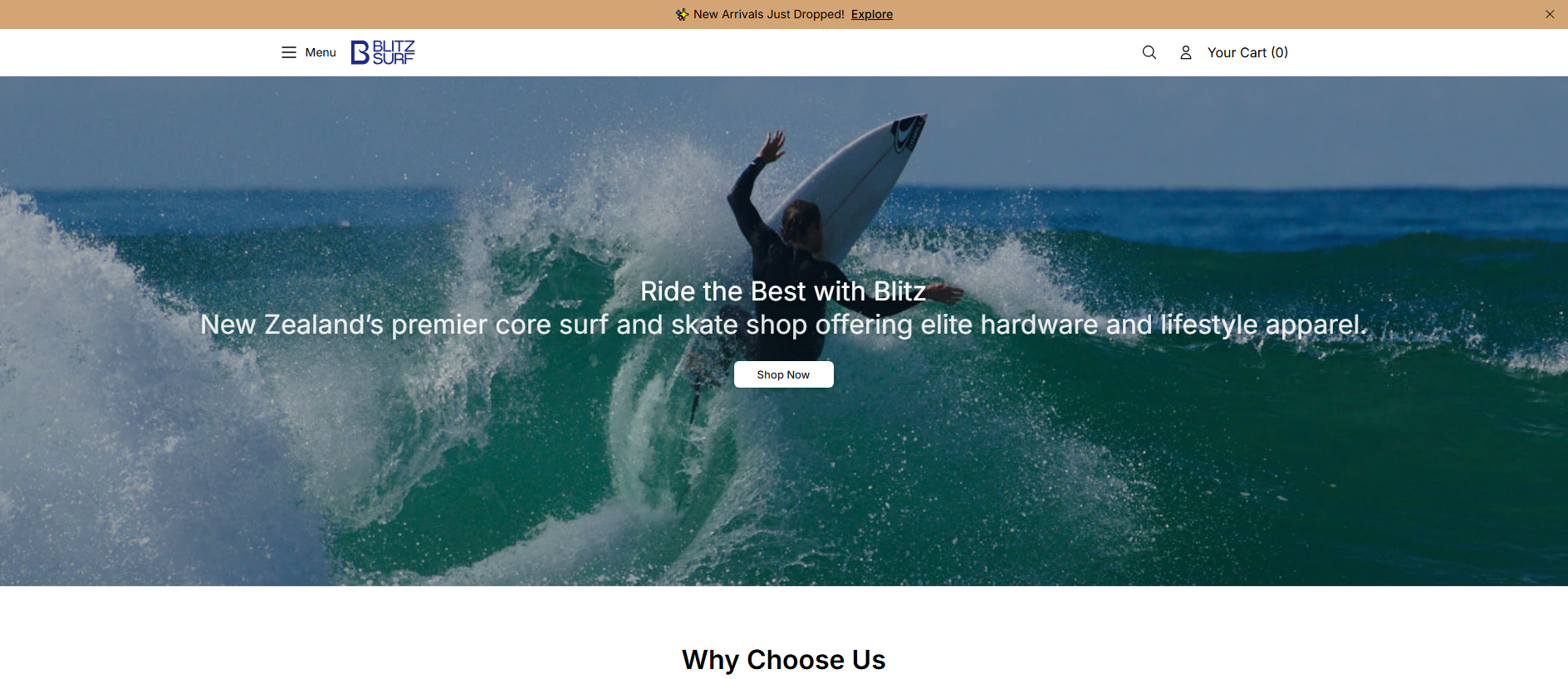Stored capture of blitzsurfworld.shop