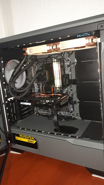noctua-1