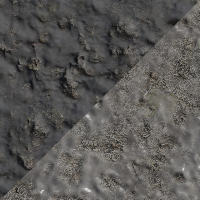 frozenmarshgrass01.jpg