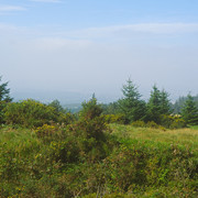 DSCF7027c