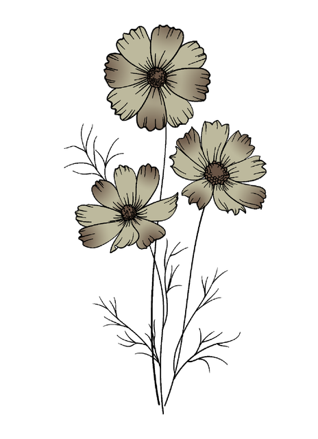 cac45f916df2ebe745c614b0b3eea3e4-1.png