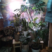 IMG-20240218-190852