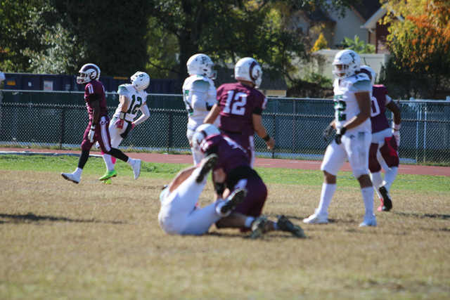 IMG-8292.jpg