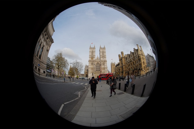 DSCF8873.jpg
