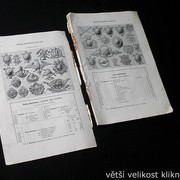 IMG-3516