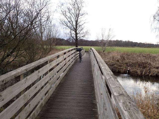 P2080414.jpg