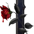 I