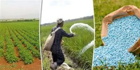 بمشاركة سوريا.. القاهرة تستضيف مؤتمرا دوليا لبحث واقع صناعة الأسمدة
