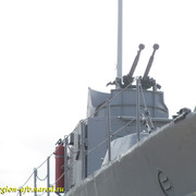 IMG-1440